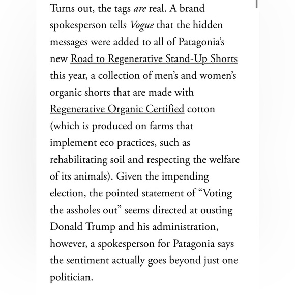 LIMITED EDITION Patagonia NWOT Stand up Shorts - Picture 10 of 10